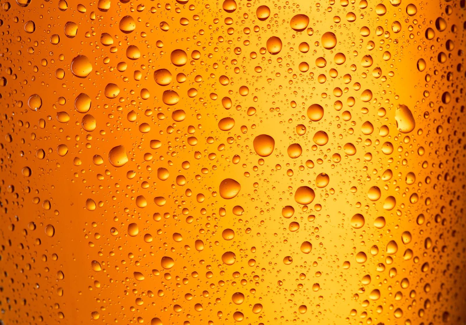Tapinstallatie onderhoud en bierleidingen reinigen bij horeca